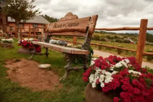 El Arte de Elegir Fotógrafo de Boda (Claves para el Éxito y Consejos Reales) 12 boda tania y javi 03