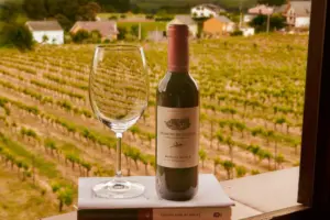 El Arte de Elegir Fotógrafo de Boda (Claves para el Éxito y Consejos Reales) 13 boda tania y javi 04