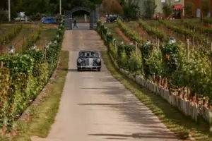 El Arte de Elegir Fotógrafo de Boda (Claves para el Éxito y Consejos Reales) 16 boda tania y javi 07